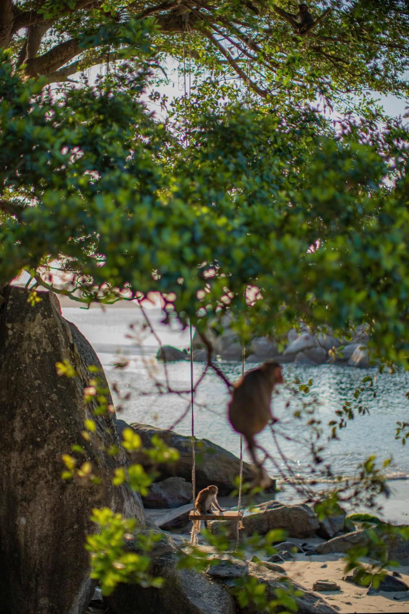 The Coral Homestay & Pub Tân Hiệ エクステリア 写真